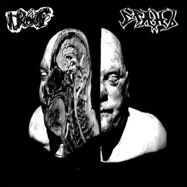 Drochills / СРАНЪ