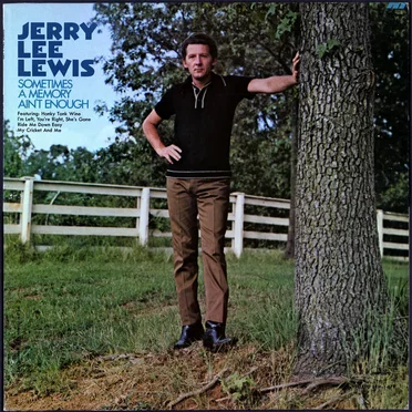 Sometimes a Memory Ain’t Enough