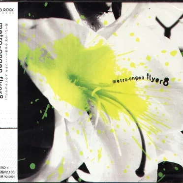 flyer8