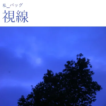 視線 (Gaze)