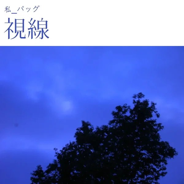 視線 (Gaze)