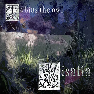 Visalia by Tobias the Owl - album cover