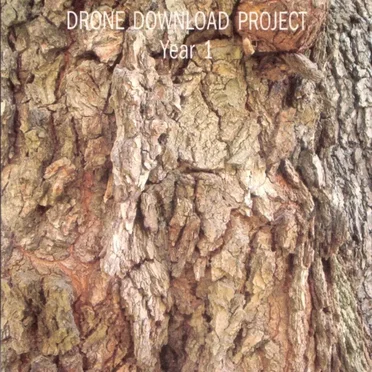 Dark Duck Records' Drone Download Project, Year 1: Nov 2002 - Nov 2003 by Various Artists - album cover