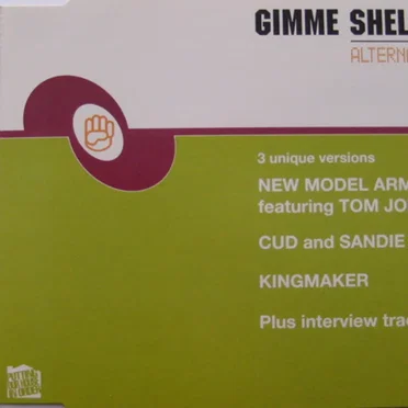 Gimme Shelter by Various Artists - album cover