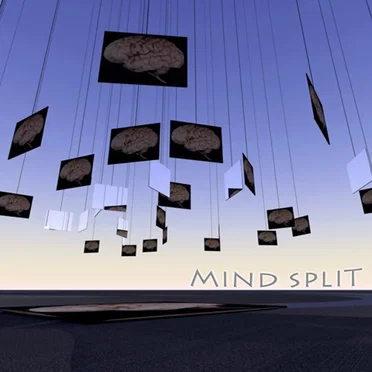 Mindsplit