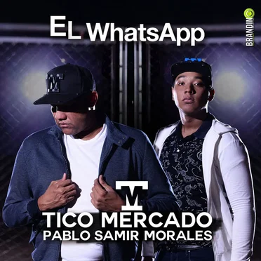 El WhatsApp