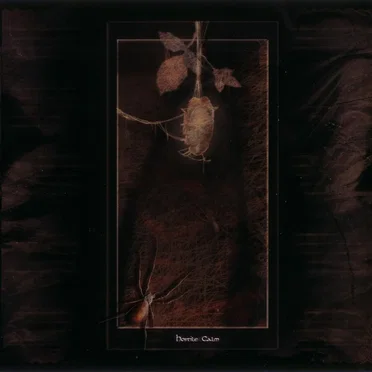Hostile Calm by Hostile Calm - album cover