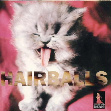 Hairballs by Stock, Hausen & Walkman - album cover