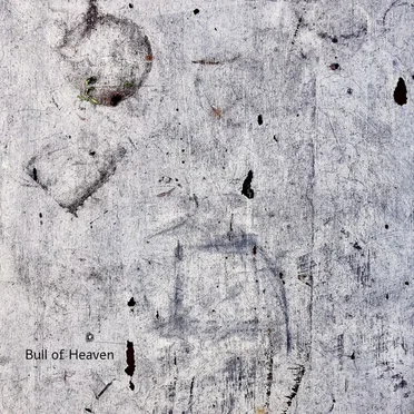 The Computer May Disagree by Bull of Heaven - album cover