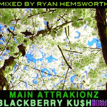 Blackberry Ku$h: Bonus Disc by Main Attrakionz - album cover