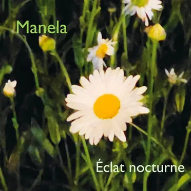 Éclat nocturne
