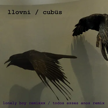 Lonely Boy Remixxx / Todos Esses Anos Remix