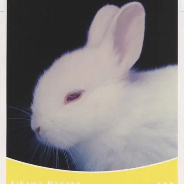 万華鏡 / UNLIMITED