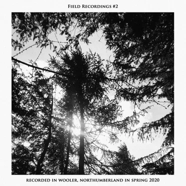 Field Recordings #2