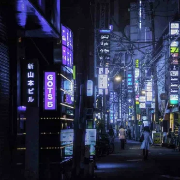 one night in tokyo