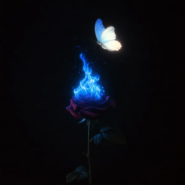 Let the World Burn