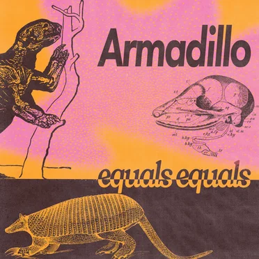 Armadillo