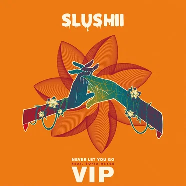 Never Let You Go (Slushii vip)