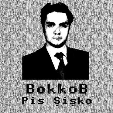 Pis Şişko by BokkoB - album cover