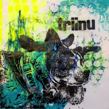 Envy by Triinu - album cover