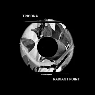 Radiant Point by Trigona - album cover