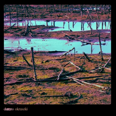 okruszki by duszno - album cover