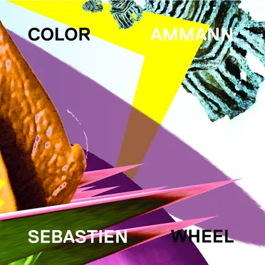 Color Wheel by Sebastien Ammann's Color Wheel - album cover