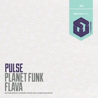 Planet Funk / Flava