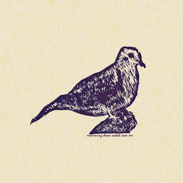 mourning doves watch over me