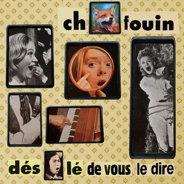 Désolé de vous le dire