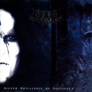 Silver Brilliance of Nocticula