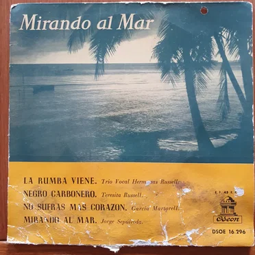 Mirando al mar