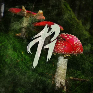 Beware the Forest’s Mushrooms
