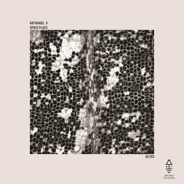 Space Place by Nathaniel S - album cover