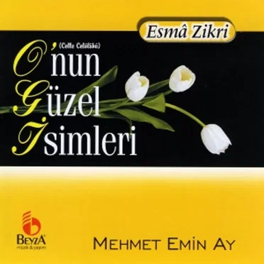 Mehmet Emin Ay