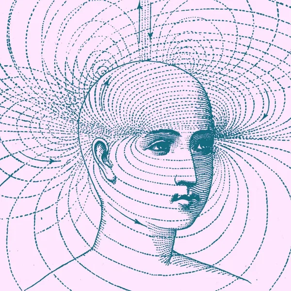 Default Mode Network