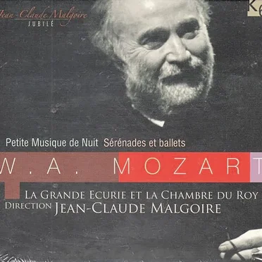 Petite musique de nuit