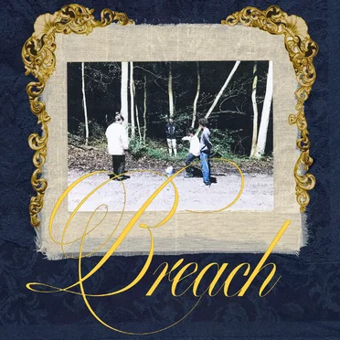 Breach by harper - album cover