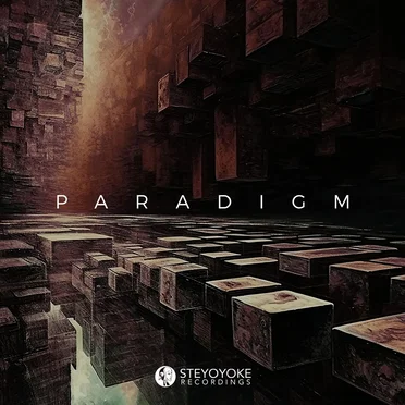 Steyoyoke Paradigm Vol. 10 by Various Artists - album cover