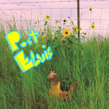 Flowers EP by Post Elvis - album cover