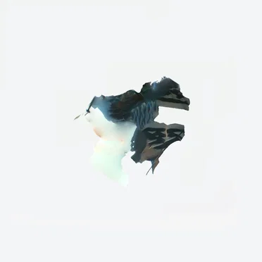 Nagisano/Lotus by Akane Shibasaki - album cover
