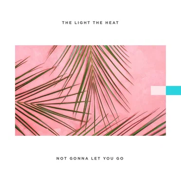 Not Gonna Let You Go