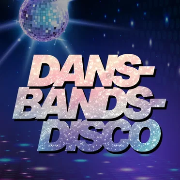 Dansbandsdisco by Various Artists - album cover