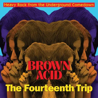 Brown Acid: The Fourteenth Trip by Various Artists - album cover