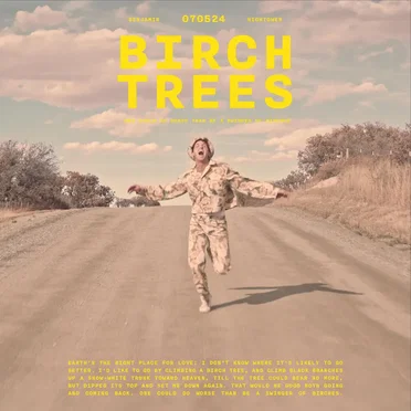 Birch Trees