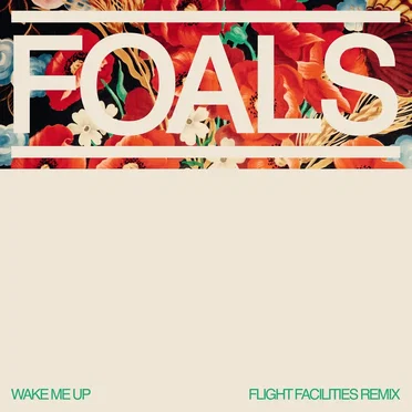 Wake Me Up (Flight Facilities remix)