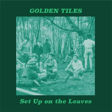 Set Up on the Leaves