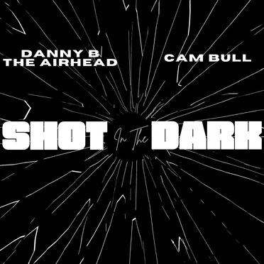 Shot In The Dark