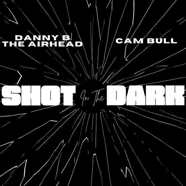 Shot In The Dark