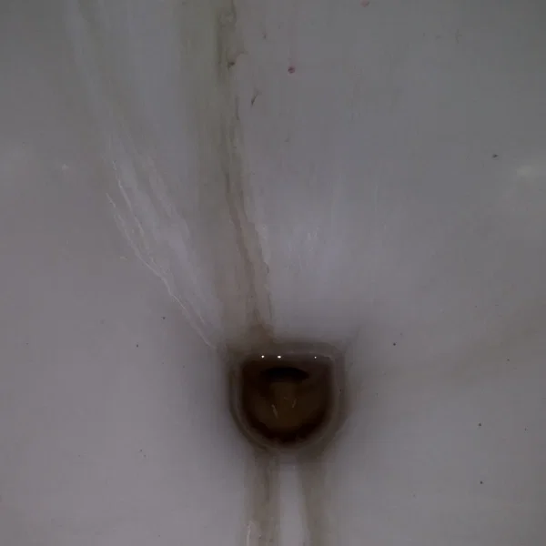 Meridian Flux